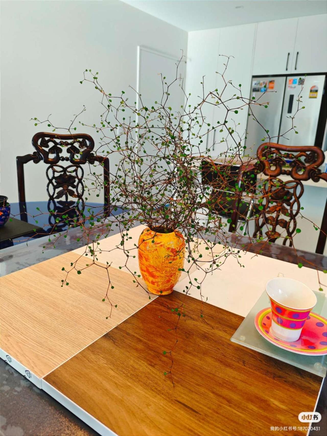 Lilyのhome Elegant Retreat Near Riccarton Mall ไครสต์เชิร์ช ภายนอก รูปภาพ